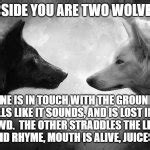 You have two wolves Meme Generator - Imgflip