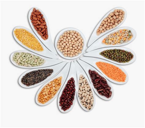 Legumes - Dals & Pulses Png , Free Transparent Clipart - ClipartKey