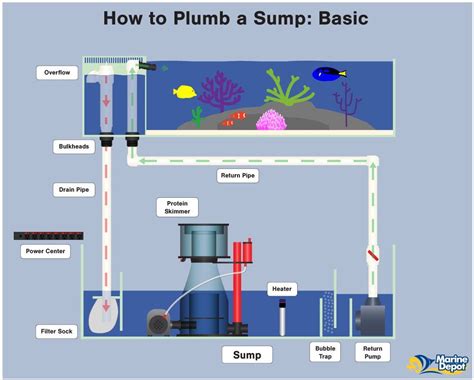 How to Plumb a Sump - Plumbing Diagrams For Your Aquarium Sump | Saltwater aquarium, Aquarium ...