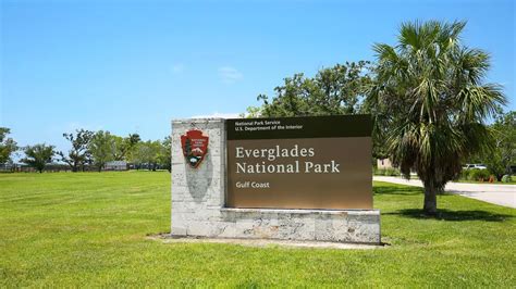 A Visitor's Guide To The Endangered Species of Everglades National Park