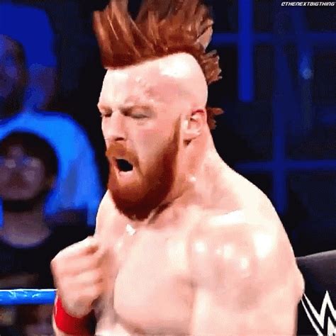 Sheamus Brogue Kick GIF - Sheamus BrogueKick WWE - Discover & Share GIFs