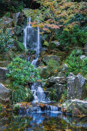 bobcronkphotography:Japanese Gardens - Portland, OR Garden Waterfall ...