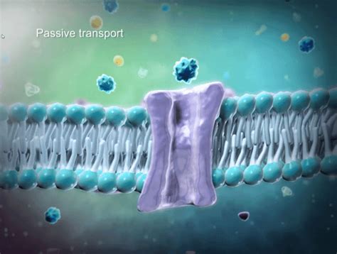 Cell Diffusion Animation