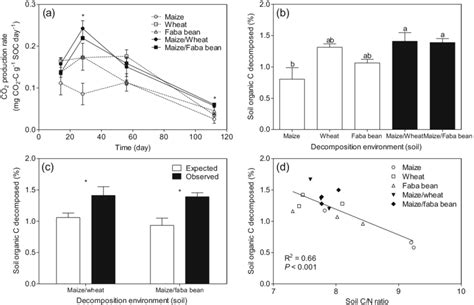 Decomposition of soil organic matter during laboratory incubation of ...