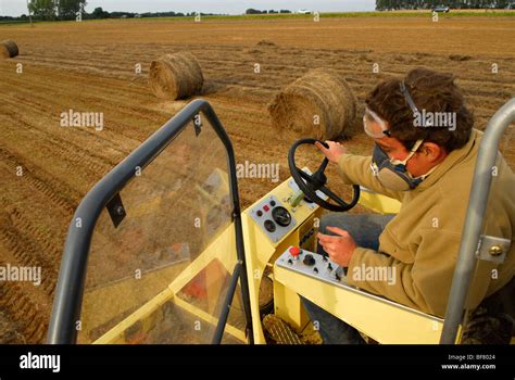 Flax industry: flax harvest Stock Photo - Alamy