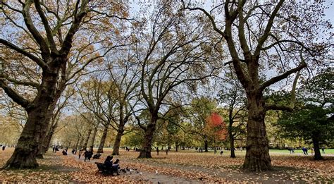 Autumn colours, Green Park, London, November 2019 | sbally. | Flickr