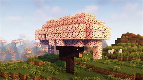 How to find and use cherry wood in Minecraft