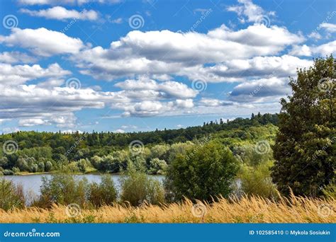 Stunning Tree background sky Images for your nature projects