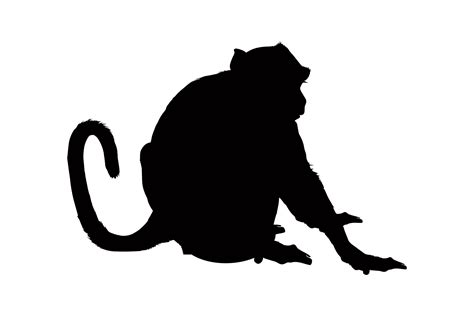 Monkey silhouette isolated on a white background. Vector illustration 24077347 Vector Art at ...