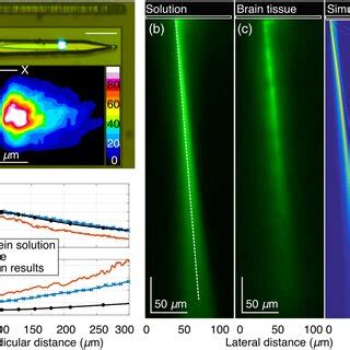 Characterization of E-pixel illumination. (a) Optical micrograph ...