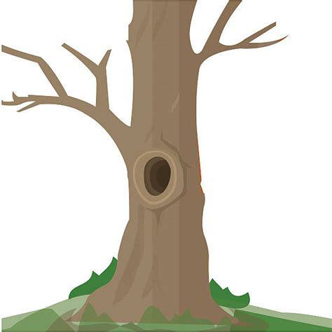 Tree Trunk Clipart - BAHIA HAHA