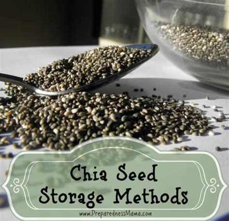 Chia Seed Storage Methods | PreparednessMama