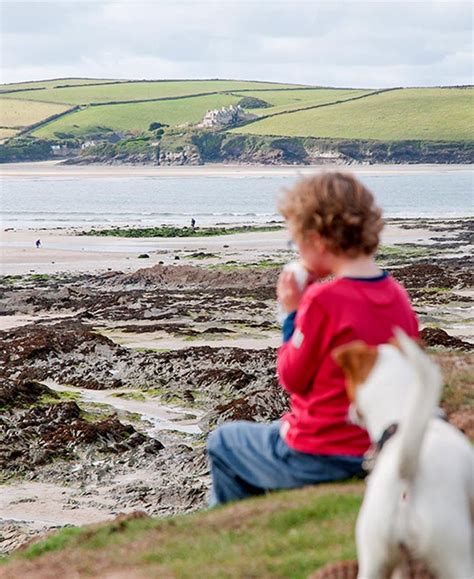 Padstow: A Charming Working Fishing Port Nestled on the North Coast