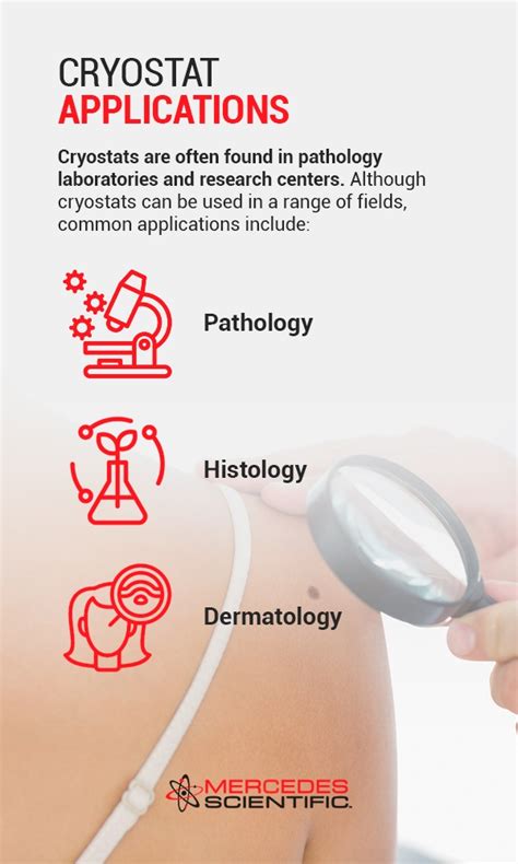 How to Choose the Right Cryostat