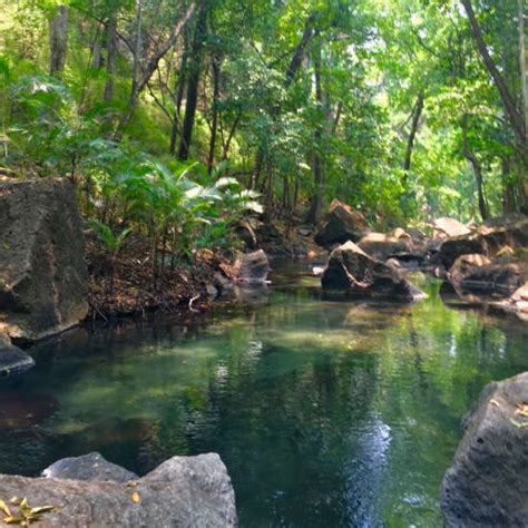 Rio Perdido Hot Springs Hotel Review | Costa Rica Experts