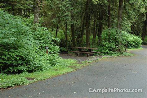 Kalaloch - Campsite Photo, Campground Info and Reservations