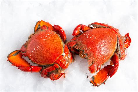 Crabs: Characteristics, habitat, alimentation habits and more...