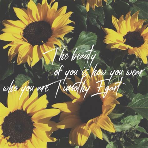 Inspiration | Sunflower quotes, Sunflower pictures, Flower quotes