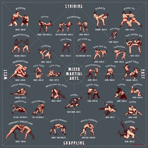 Infographic: Chicago Artist Releases Illustrated Style Guide to MMA