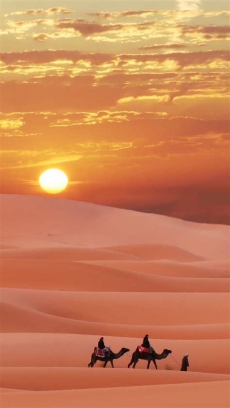 Desert Aesthetic, Deserts Of The World, Desert Photography, Desert Oasis, Savages, Morroco ...