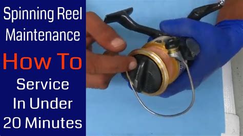 How To Service Your Spinning Reel In Under 20 Minutes: Fishing Reel ...