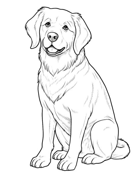 Realistic Golden Retriever: A coloring page that showcases a realistic ...