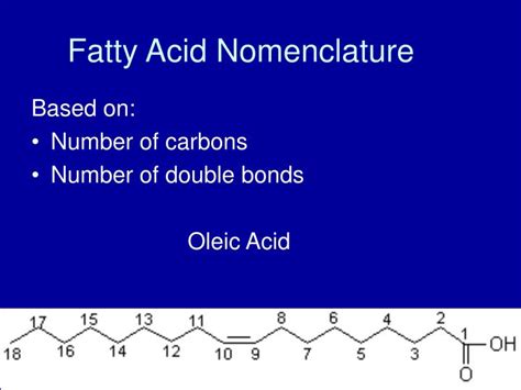 PPT - Lipids PowerPoint Presentation - ID:7034255