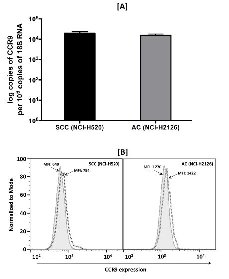 Expression of CCR9 in LuCa cell lines. [A] Total RNA was isolated from ...