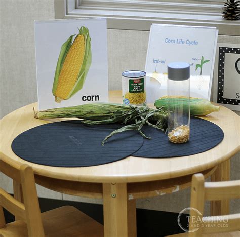 Preschool Science Table : How To Set Up The Science Center In Your Early Childhood Classroom ...