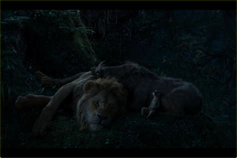 Photo: is there a the lion king end credit scene 15 | Photo 4322667 ...