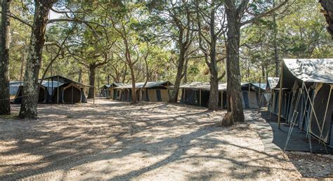 Our Camp Facilities and Location | Moreton Island Wilderness Camp