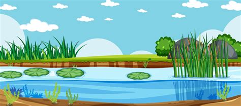 Nature landscape scene of a swamp 1337883 Vector Art at Vecteezy