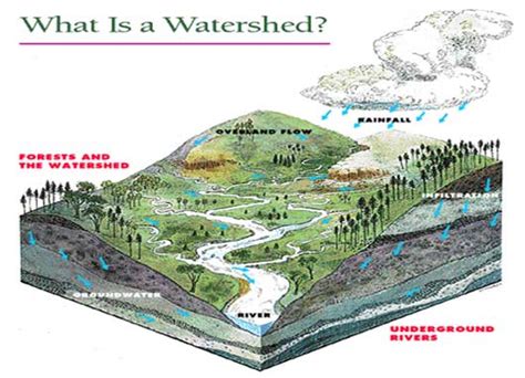 Progressive Charlestown: A new analysis and approach to watershed ...