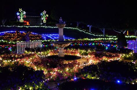 Connect Coaches Hunter Valley Gardens Christmas Lights Tour