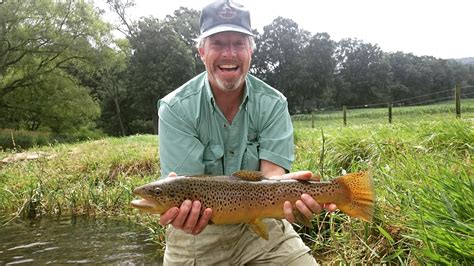 Top 5 of 2016 - Biggest and Best Brown Trout on Dry Flies