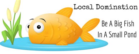 Local Domination - Be A Big Fish In A Small Pond - Win/Win Marketing Partnerships