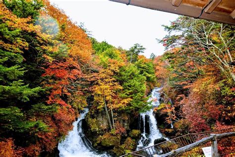 Nikko & waterfall / Tokyo Travel Assist. Enjoy the local experiences!