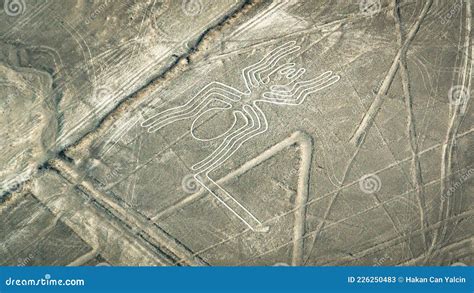 The Spider Nazca Lines Aerial View, Peru Stock Image - Image of bird ...