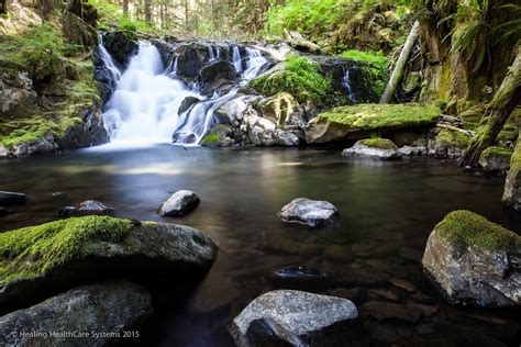 A Whole Lot of Things All at Once - Olympic National Park