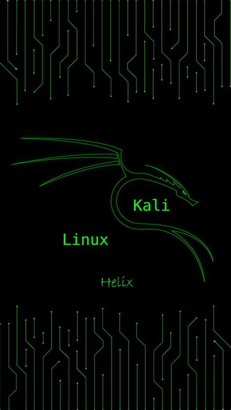 Details more than 90 kali linux hacker wallpaper best - vova.edu.vn