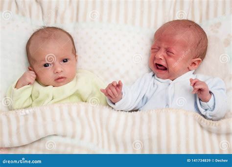 Two Adorable Twin Babies. One Looking, One Crying Stock Image - Image of eyes, relationship ...