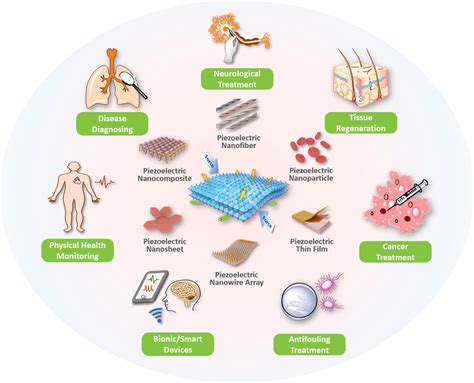 Construction of Bio‐Piezoelectric Platforms: From Structures and Synthesis to Applications - Xu ...