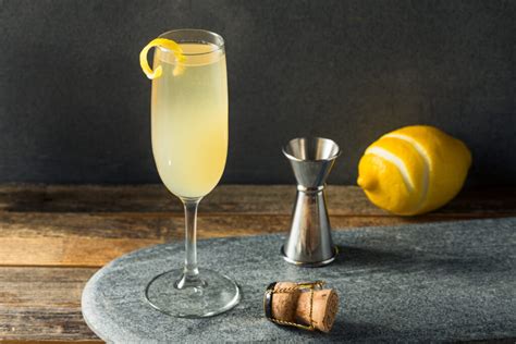 13 Delicious Gin Cocktails – The Kitchen Community