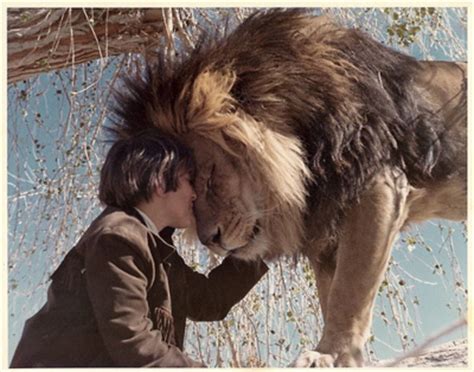 aslan, friendship, lion, love, man - image #109334 on Favim.com