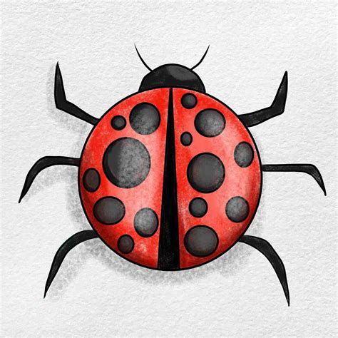 Ladybug Drawing - HelloArtsy