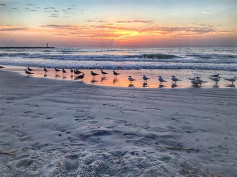 Reflections on Cape Canaveral Beach Photograph by Anne Sands