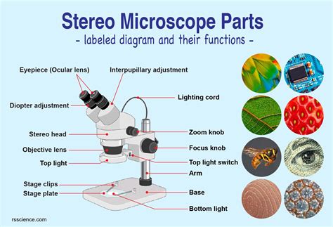 43 microscope labeled with functions