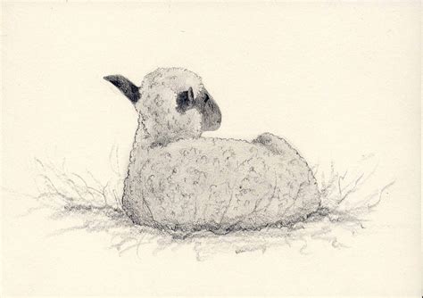 Original drawing RESTING LAMB