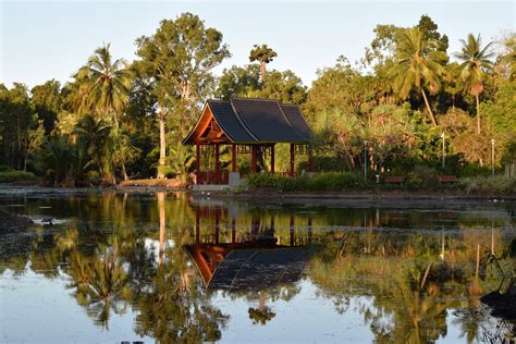 Cairns Botanic Gardens – jontynz – tales from around the world…