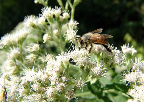 Friday the 13th & Phobias On The Farm | Rural Ramblings...